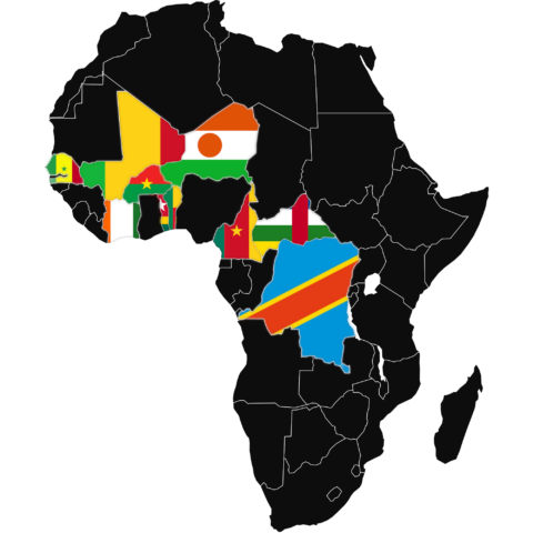 Accueil - Plateforme Africaine des Factcheckers Francophones