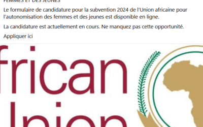 Cette offre de subventions aux femmes et aux jeunes faussement attribuée à l’Union Africaine est un canular