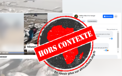 Sénégal : cette vidéo montrant une importante pêche de poissons n’a aucun lien avec l’arrivée de Bassirou Diomaye Faye au pouvoir en avril 2024