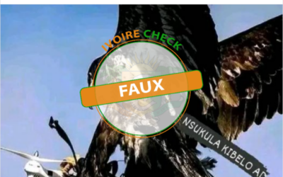 FAUX : cet aigle n’attaque pas un drone français