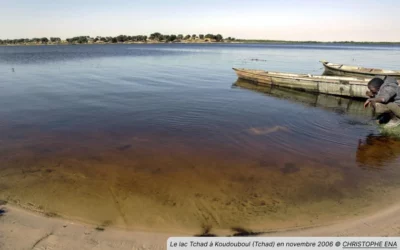 Lac-Tchad : puiser de l’eau dans d’autres pays d’Afrique peut-il permettre de remplir cette étendue ?