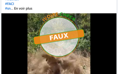 FAUX : Cette vidéo ne montre pas un exercice de camouflage de l’armée ivoirienne 